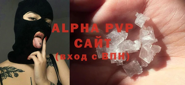 спиды Бородино