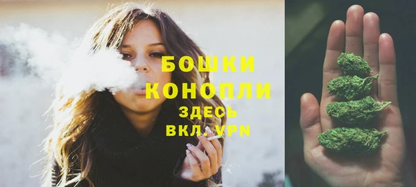 спиды Бородино