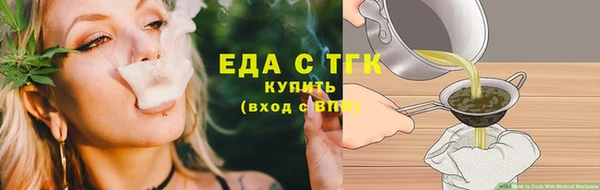 спиды Бородино