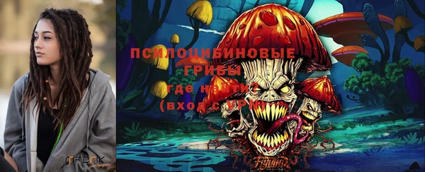 МДПВ Бронницы