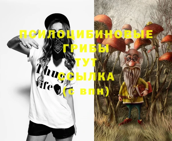МДПВ Бронницы