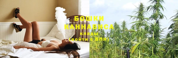 гидропоника Бугульма