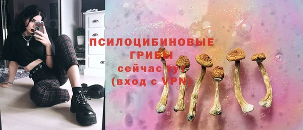 спиды Бородино