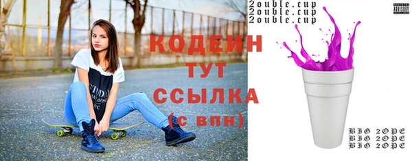 спиды Бородино